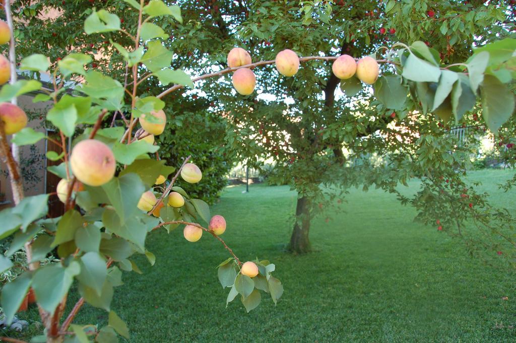 B&B Cherry En Rose Lezzeno Ruang foto