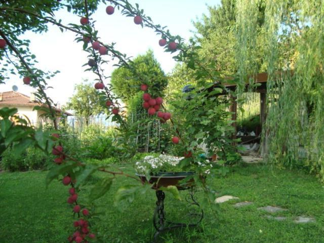 B&B Cherry En Rose Lezzeno Bagian luar foto