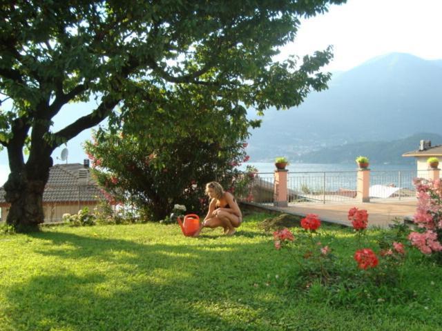 B&B Cherry En Rose Lezzeno Bagian luar foto