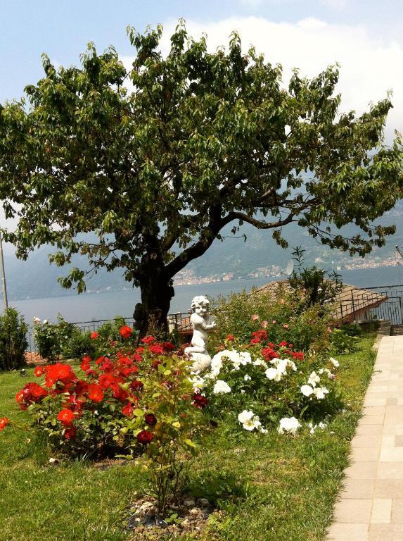 B&B Cherry En Rose Lezzeno Bagian luar foto